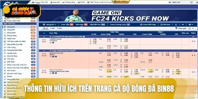 Trang cược cung cấp loạt thông tin hữu ích