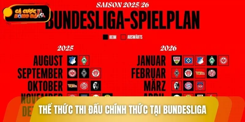 Mỗi mùa giải sẽ thi đấu theo thể thức vòng tròn 2 lượt