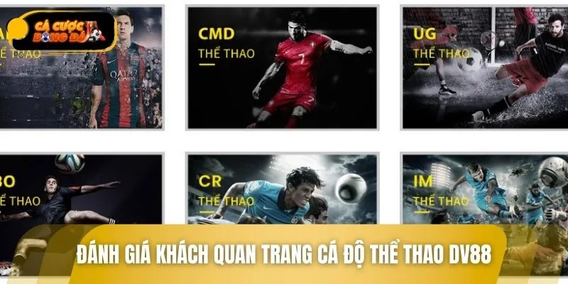 Review từ khách hàng về nền tảng cá cược