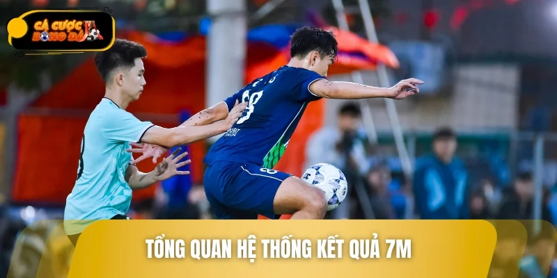 Tổng quan hệ thống kết quả 7M