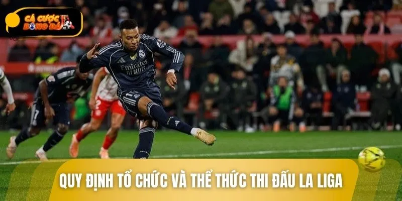 Giải đấu đặt ra những quy định rõ ràng