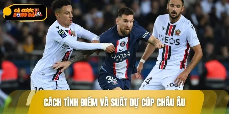 Mỗi mùa giải sẽ diễn ra theo quy định rõ ràng