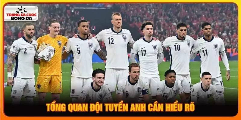 Tổng quan đội tuyển Anh cần hiểu rõ