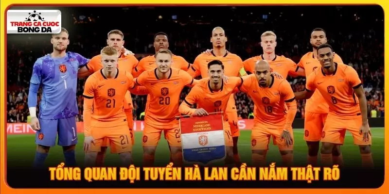 Sức Mạnh Đội Tuyển Bóng Đá Quốc Gia Hà Lan World Cup 2026