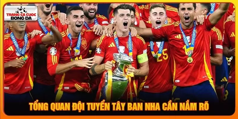 Tổng quan đội tuyển Tây Ban Nha cần nắm rõ