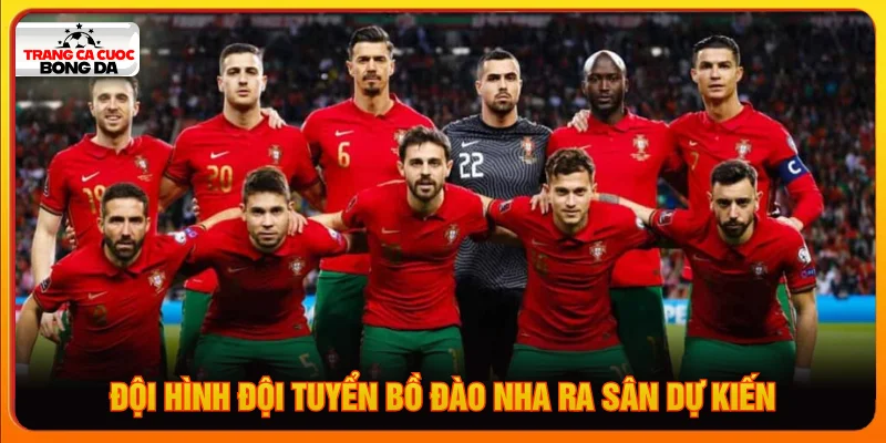 Đội hình đội tuyển Bồ Đào Nha