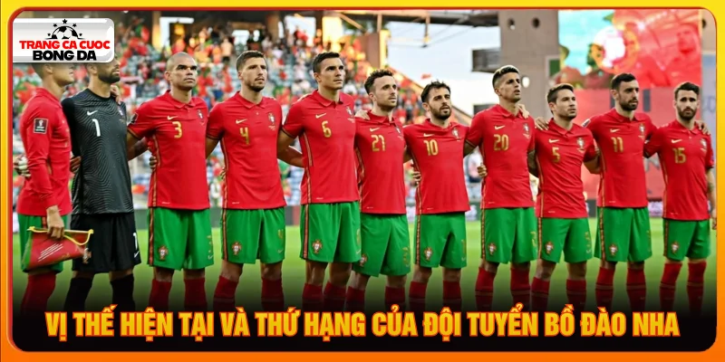 Thứ hạng của đội tuyển quốc gia Bồ Đào Nha World Cup