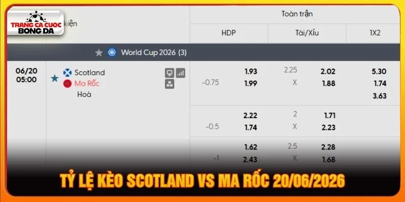 Tỷ lệ kèo Scotland vs Ma Rốc 20/06/2026 Tỷ lệ kèo Scotland vs Ma Rốc 20/06/2026